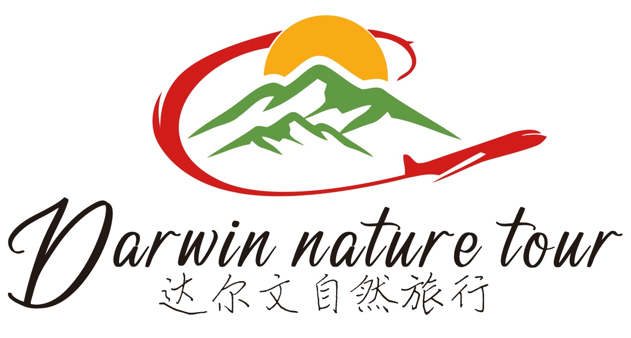 Darwin Nature Tour logo
